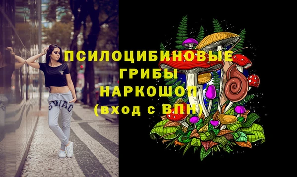 mix Няндома