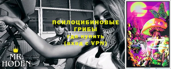 дурь Нягань